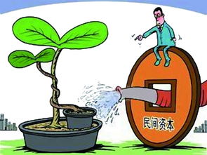 社會資本給力文化產業與社會經濟咨詢服務