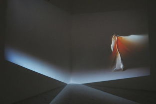 “后生命” 上海媒體藝術(shù)展，數(shù)字時(shí)代的美學(xué)探索
